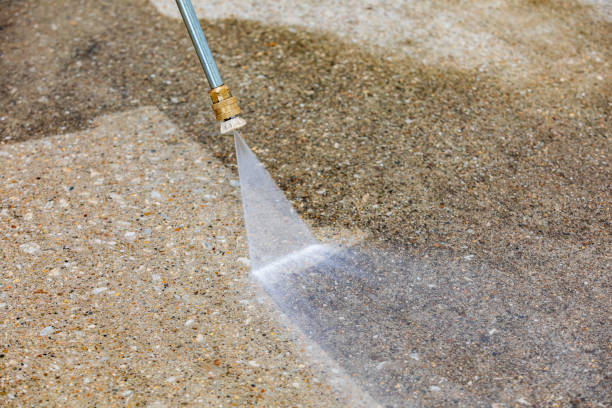 Best Graffiti Removal Services in Palm Harbor, FL
